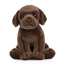 Chocolate Labrador Puppy Soft Toy 18cm from Living Nature
