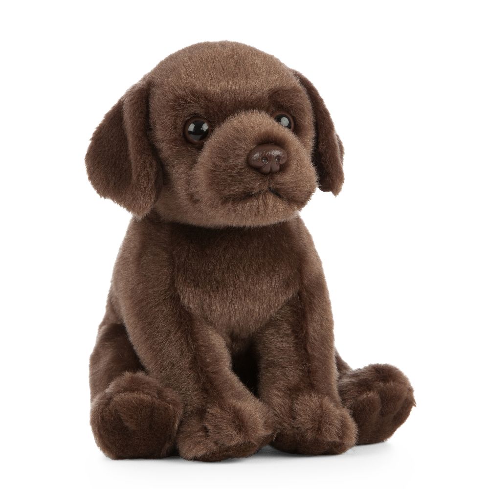 Chocolate Labrador Puppy Soft Toy 18cm from Living Nature