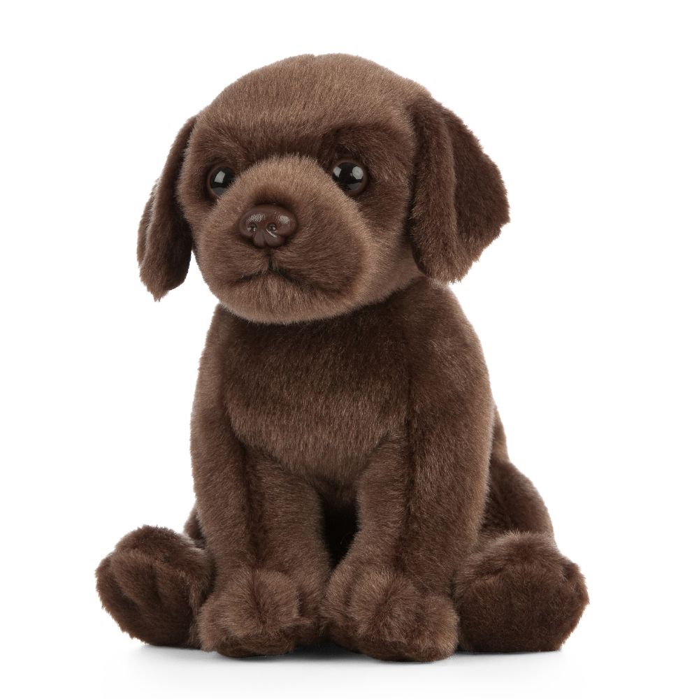 Chocolate Labrador Puppy Soft Toy 18cm from Living Nature