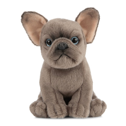 French Bulldog Puppy Soft Toy 20cm from Living Nature