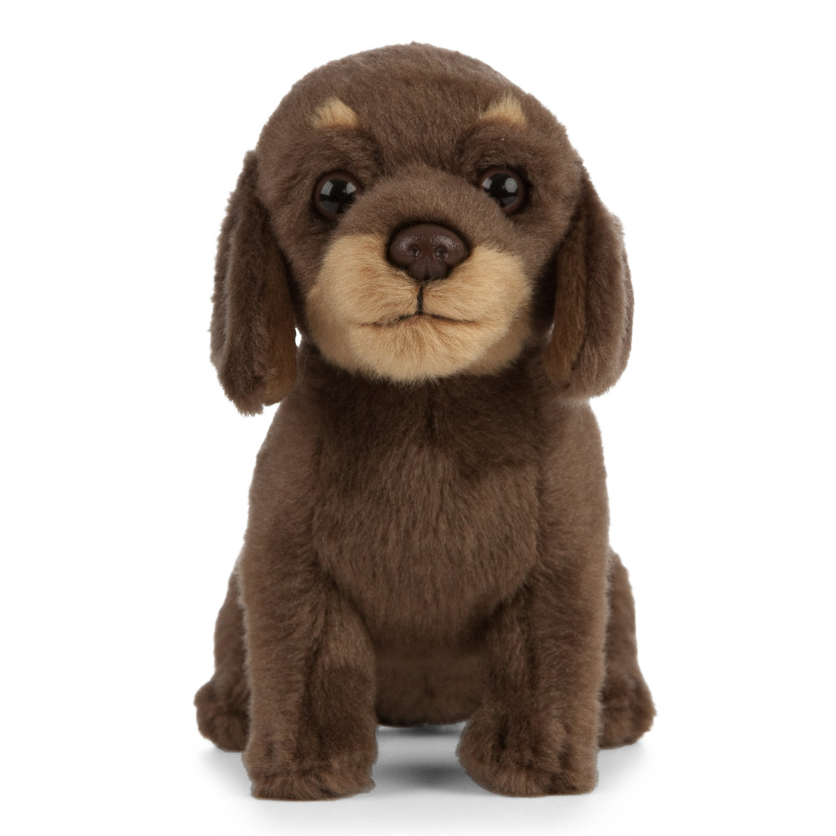 Dachshund Puppy Soft Toy 27cm from Living Nature
