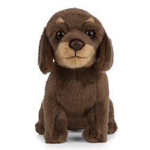 Dachshund Puppy Soft Toy 27cm from Living Nature