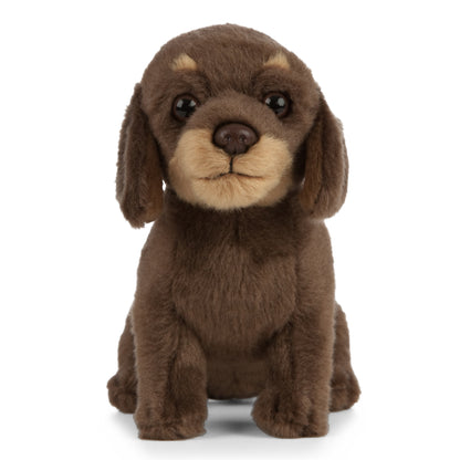 Dachshund Puppy Soft Toy 27cm from Living Nature