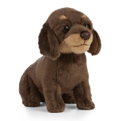 Dachshund Puppy Soft Toy 27cm from Living Nature