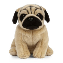Pug Soft Toy 25cm from Living Nature