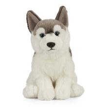 Husky Soft Toy 26cm from Living Nature