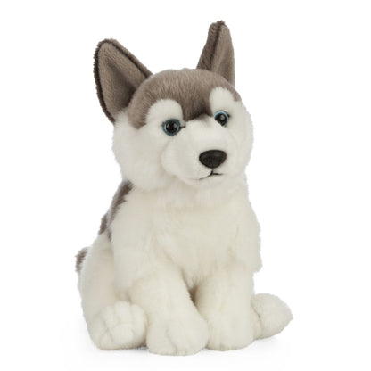 Husky Soft Toy 26cm from Living Nature