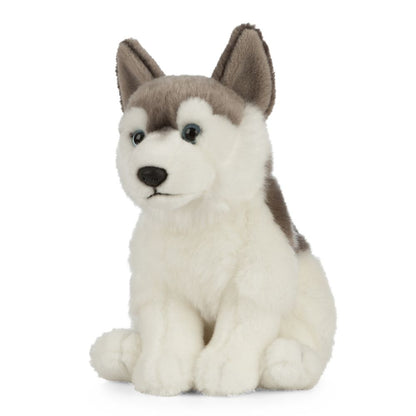 Husky Soft Toy 26cm from Living Nature