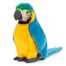 Blue Macaw Soft Toy 42cm from Living Nature