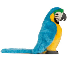 Blue Macaw Soft Toy 42cm from Living Nature