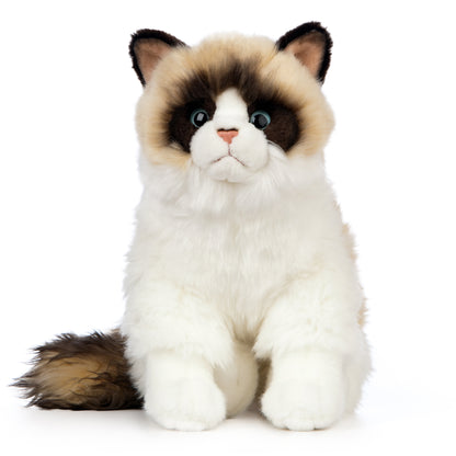 Ragdoll Cat Soft Toy 43cm from Living Nature