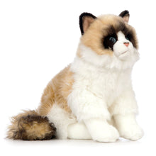 Ragdoll Cat Soft Toy 43cm from Living Nature