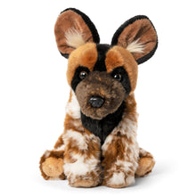 African Wild Dog Soft Toy 24cm from Living Nature