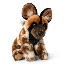 African Wild Dog Soft Toy 24cm from Living Nature