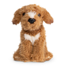Brown Labradoodle Soft Toy 26cm from Living Nature
