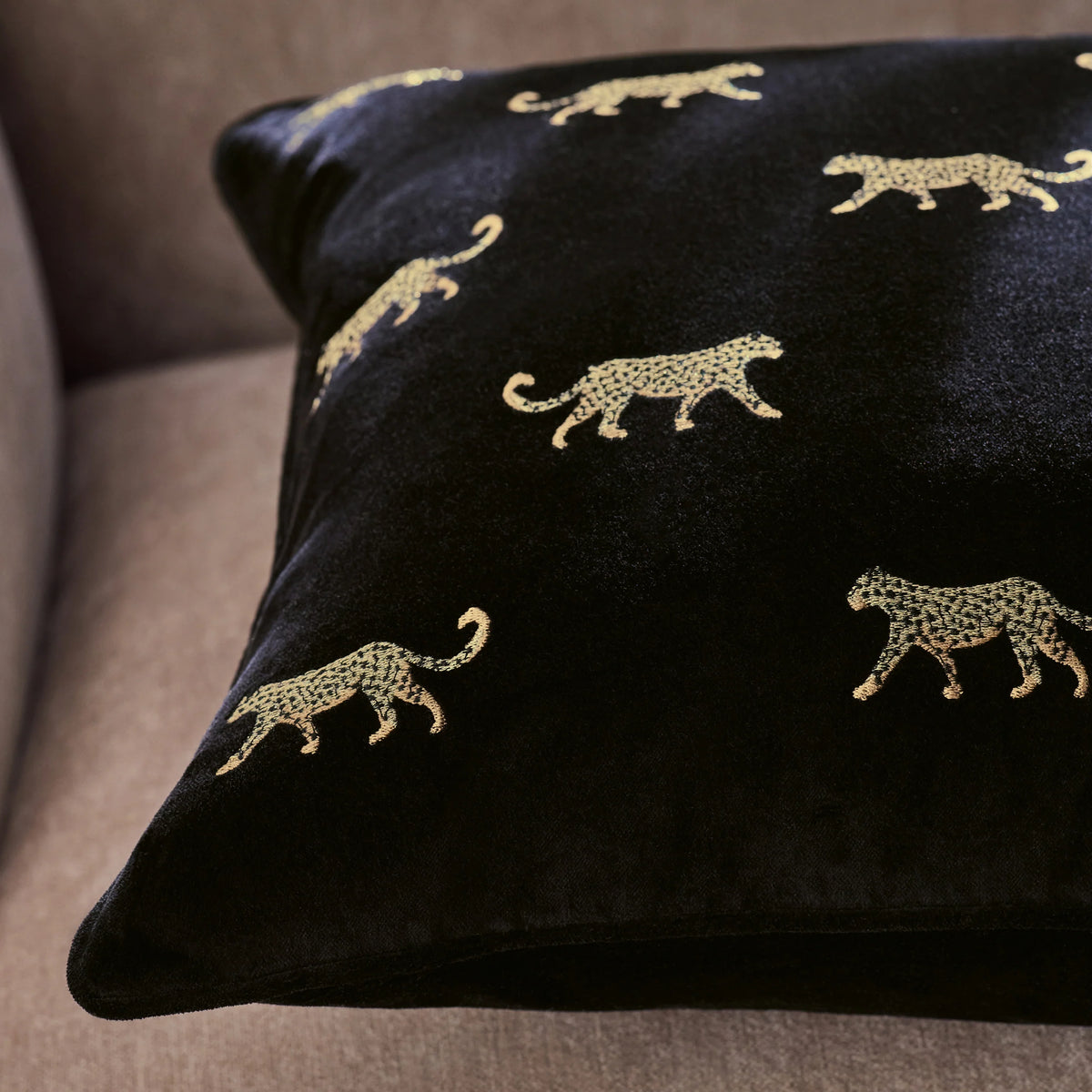 Duma Embroidered Velvet Cheetah Cushion from Clarke & Clarke