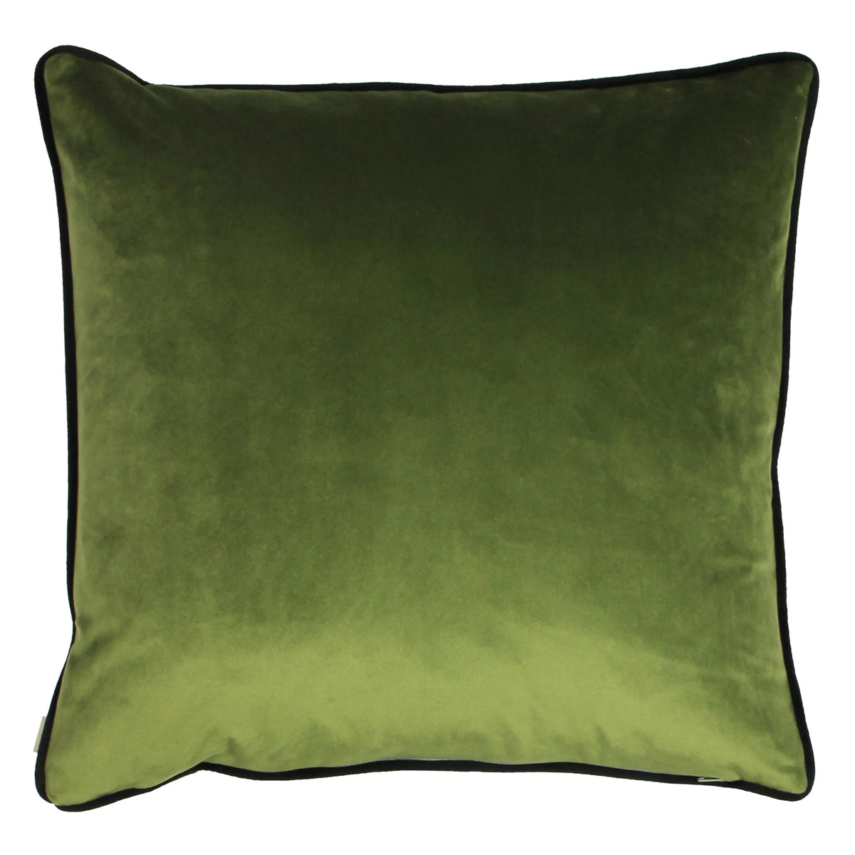 Midnight Garden Bee Velvet Cushion from Evans Lichfield