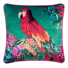 Polly Amorous Parrot Filled Cushion by Laurence Llewelyn-Bowen