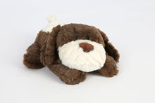 Brown Dog Beddy Buddies Microwaveable Warmer