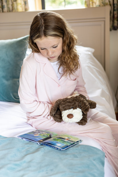 Brown Dog Beddy Buddies Microwaveable Warmer