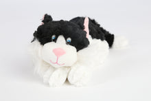 Cat Beddy Buddies Microwaveable Warmer