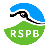 collection brand rspb square 01