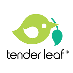 Tender Leaf Toys