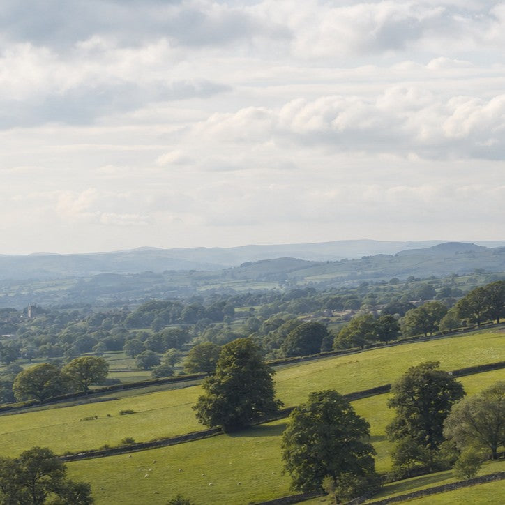Countryside