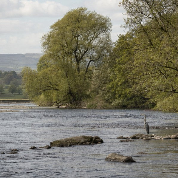 River